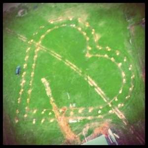 the love heart shaped avocado grove in margaret river