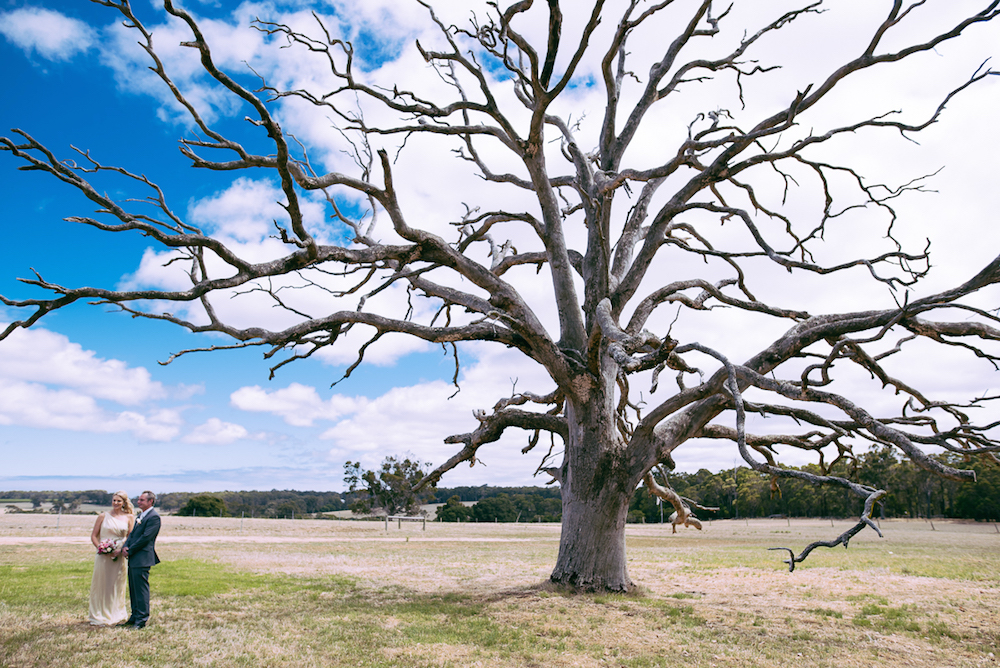 pop up wedding margaret river heartland