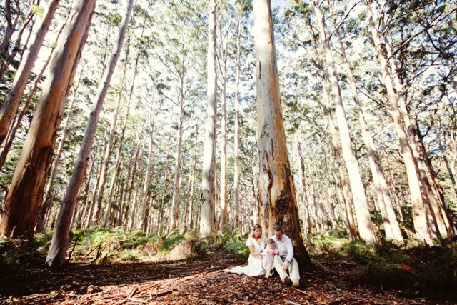 Elope Boranup Forest magical day