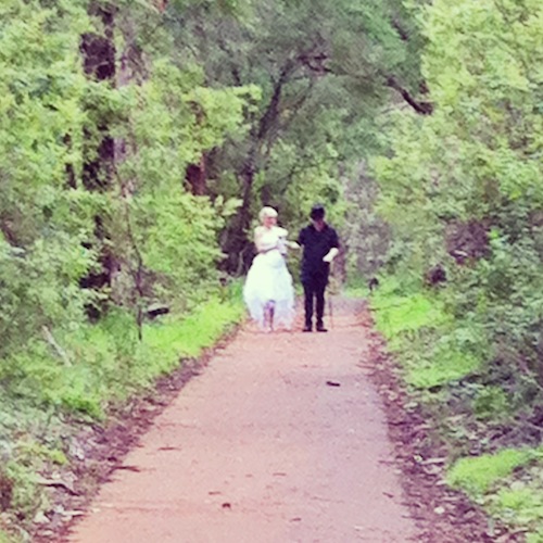 margaret river forest