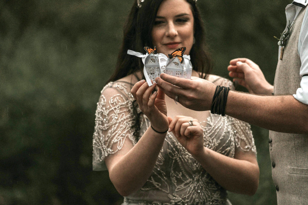 butterfly release boranup forest