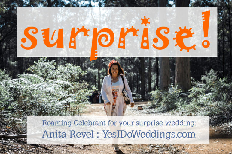 surprise wedding celebrant margaret river